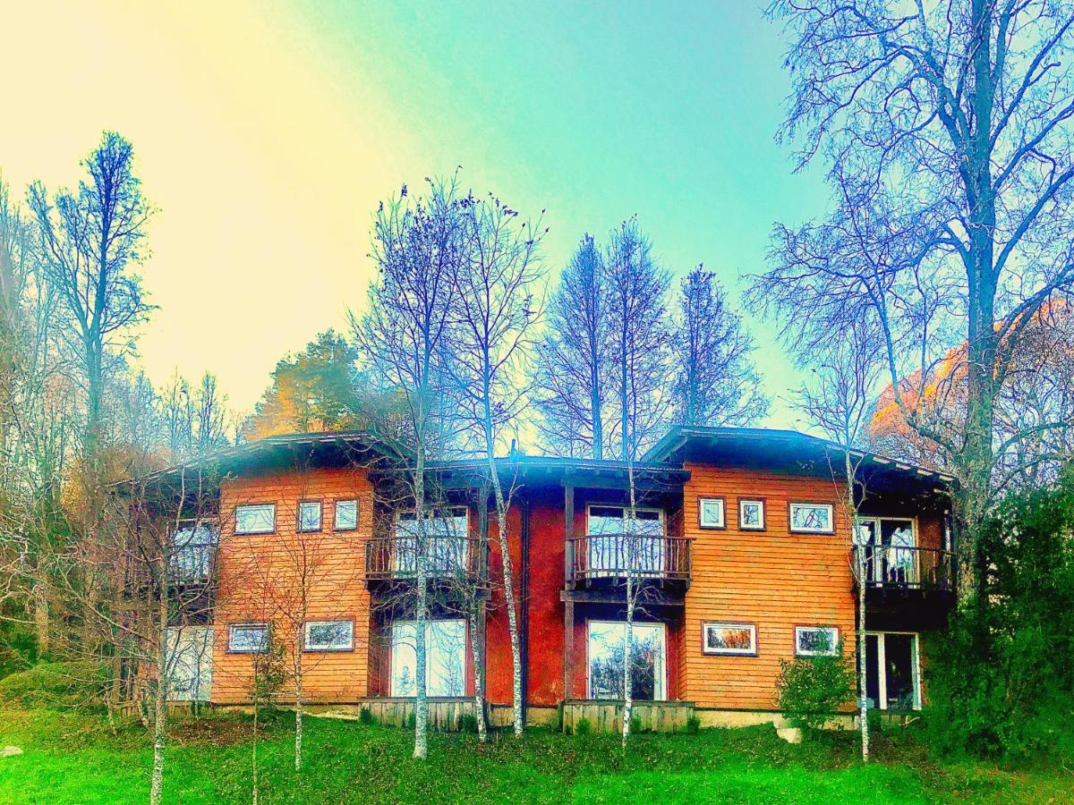Elementos Eco Lodge Pucon Bagian luar foto