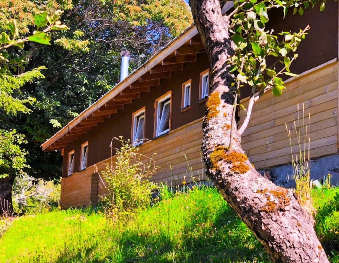 Elementos Eco Lodge Pucon Bagian luar foto