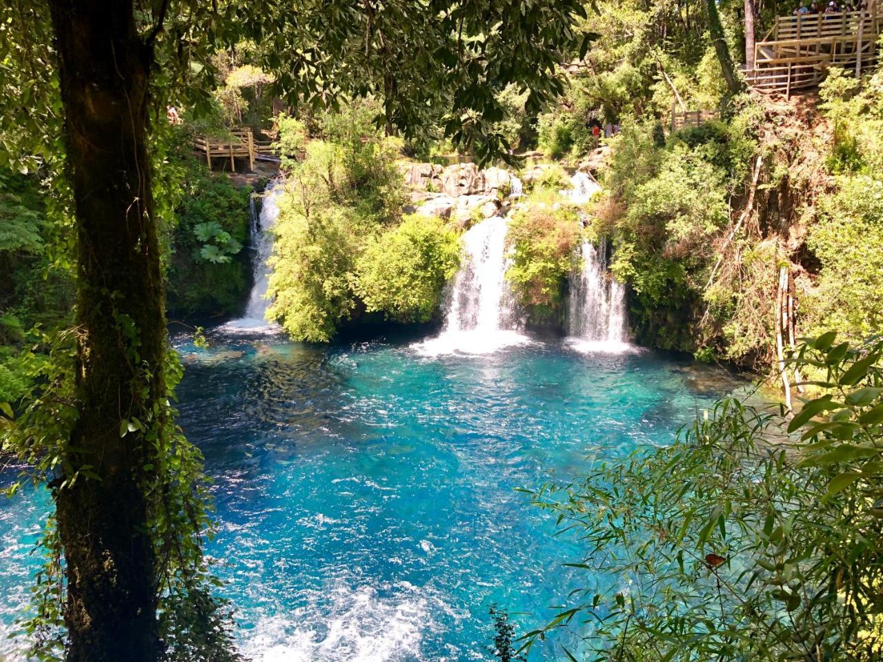 Elementos Eco Lodge Pucon Bagian luar foto